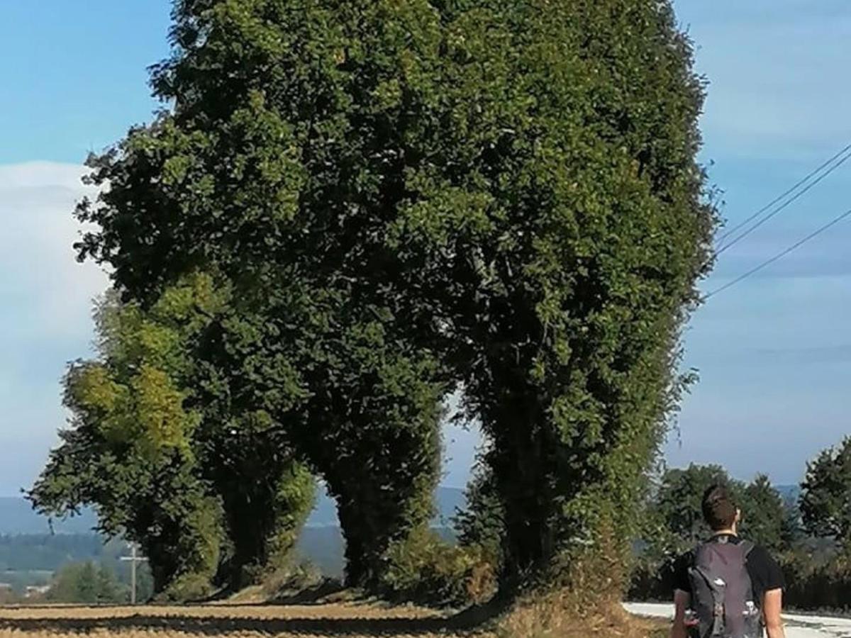 Gite En Campagne Renove Avec Cheminee, Grands Jardins, Wifi, Pres D'Un Village Medieval. - Fr-1-410-334 Moitron-sur-Sarthe Eksteriør billede