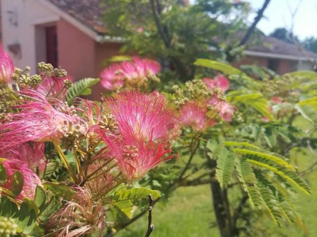 Gite En Campagne Renove Avec Cheminee, Grands Jardins, Wifi, Pres D'Un Village Medieval. - Fr-1-410-334 Moitron-sur-Sarthe Eksteriør billede