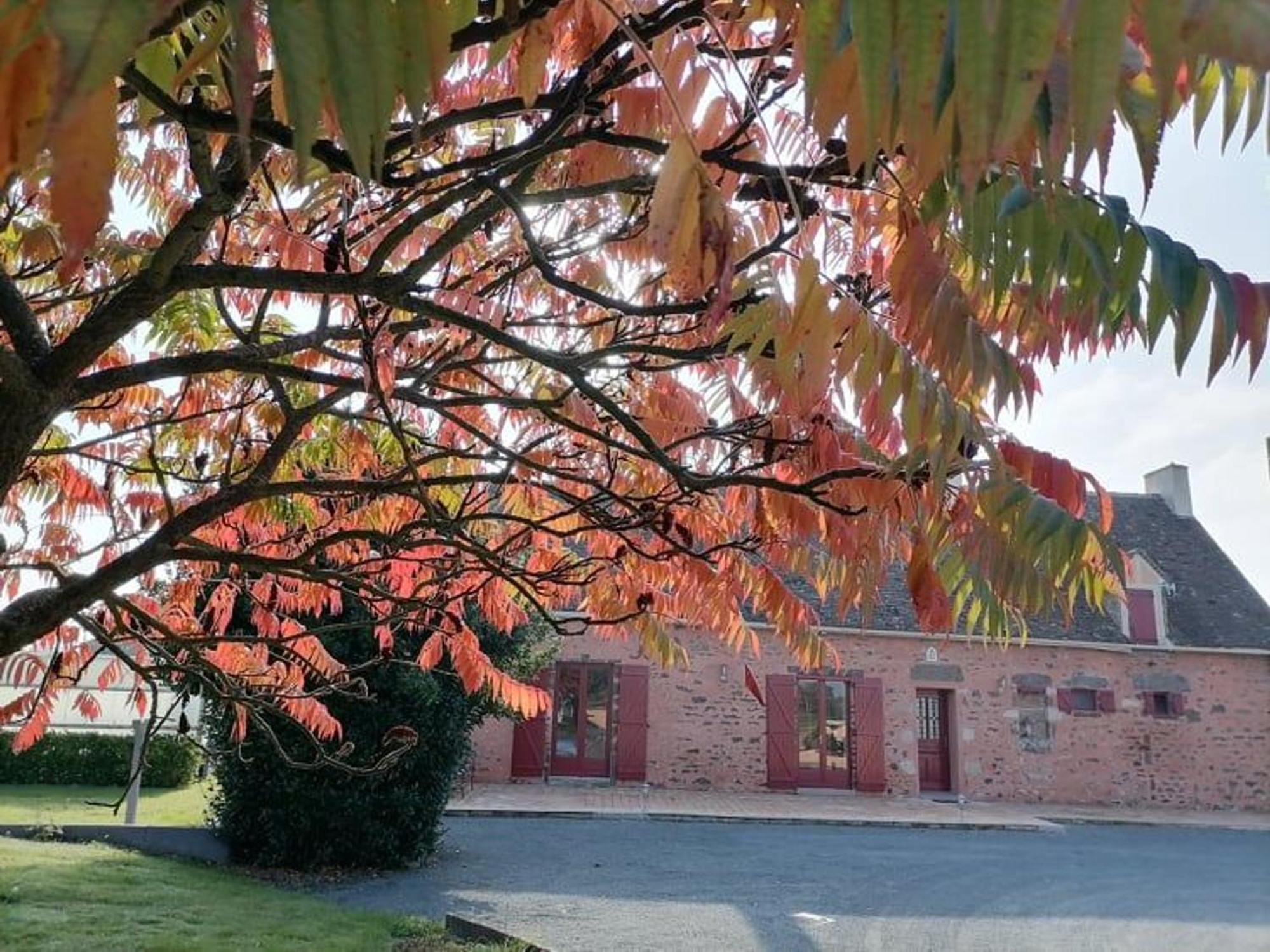 Gite En Campagne Renove Avec Cheminee, Grands Jardins, Wifi, Pres D'Un Village Medieval. - Fr-1-410-334 Moitron-sur-Sarthe Eksteriør billede